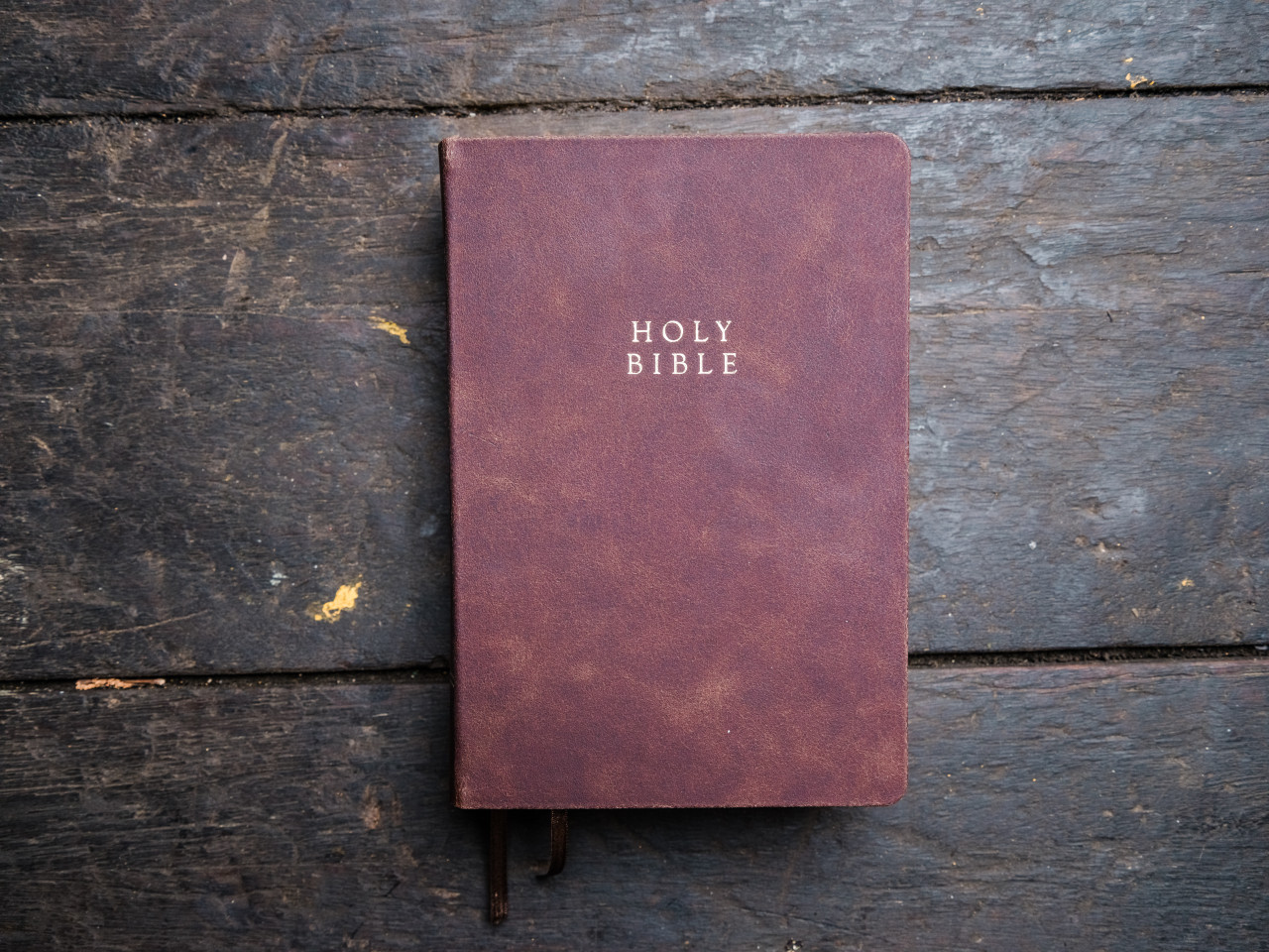 The Reformation Heritage KJV Study Bible - Brown Cowhide Leather