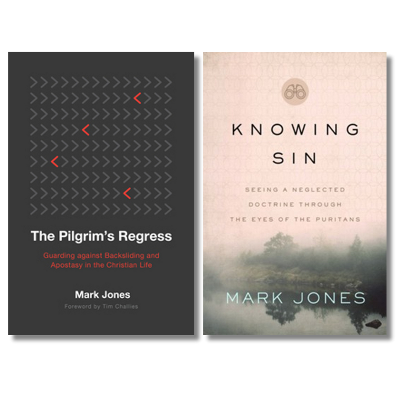 Bundle: Knowing Sin + The Pilgrim's Regress (Jones) - Reformation Heritage  Books