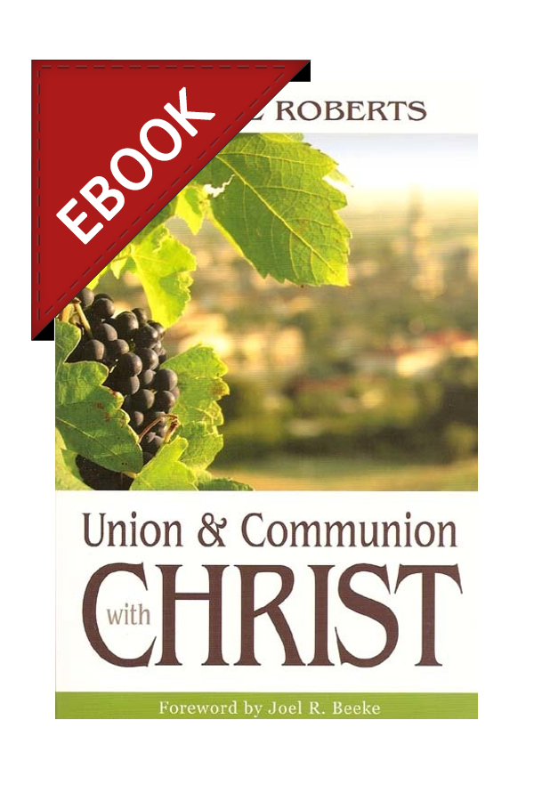 Union And Communion With Christ Ebook - 