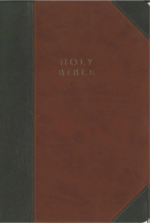 The Reformation Heritage KJV Study Bible -Brown/Gray Leather-Like