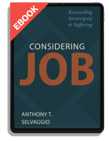 EBOOK Considering Job: Reconciling Sovereignty and Suffering (Selvaggio)