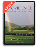 EBOOK Providence Handled Practically (Sedgwick)
