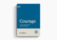 Courage: How the Gospel Creates Christian Fortitude (Rigney)