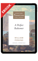 EBOOK A Perfect Redeemer (Perkins) EBOOK A Perfect Redeemer (Perkins)