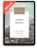 EBOOK A Perfect Redeemer (Perkins)