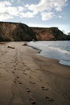 What are the Signs of Sincerity?