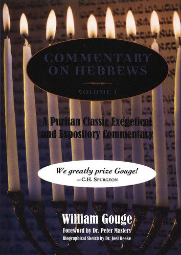 Commentary on Hebrews: Exegetical & Expository, Volume 1