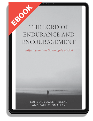 EBOOK The Lord of Endurance and Encouragement: Suffering and the Sovereignty of God (Beeke & Smalley)