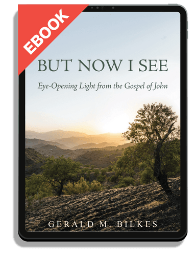 eBook But Now I See: Eye-Opening Light from the Gospel of John (Bilkes)