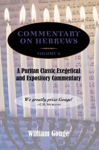 A Commentary on Hebrews, Volume 2