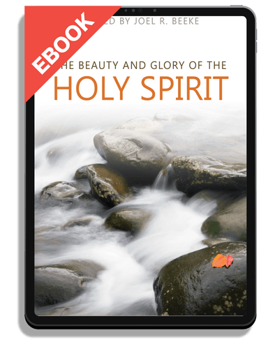EBOOK The Beauty and Glory of the Holy Spirit (Beeke, ed.)