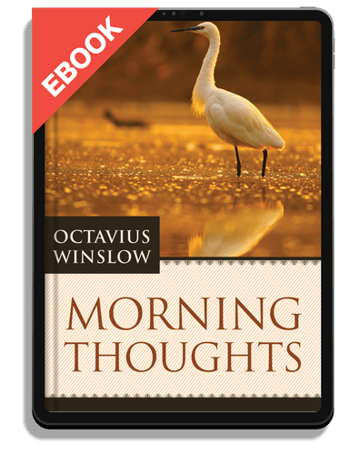 EBOOK Morning Thoughts (Winslow)
