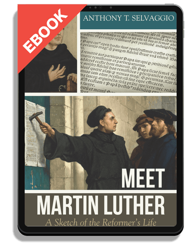 EBOOK Meet Martin Luther: A Sketch of the Reformer's Life (Selvaggio)