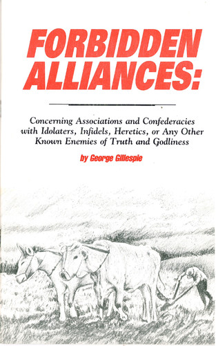Forbidden Alliances (Gillespie)