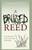 A Bruised Reed: One Christian's Journey Through Depression (Cottrell)