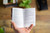 The Westminster Shorter Catechism with Scripture Proofs
