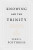 Knowing and the Trinity (Poythress)