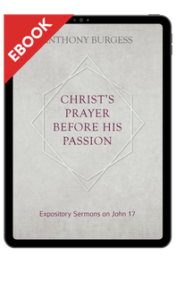 cpbhp_eb__44003.1716348997.315