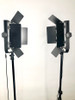 Stellar Sun Panel  Duo LED Light Kit + 2 Metal Stands