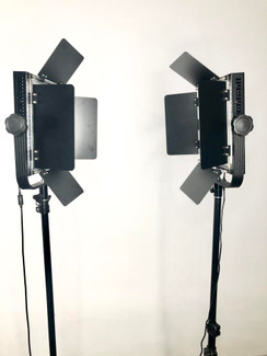 Stellar Sun Panel  Duo LED Light Kit + 2 Metal Stands