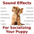 City Sounds for Imprinting/Socializing Your Puppy