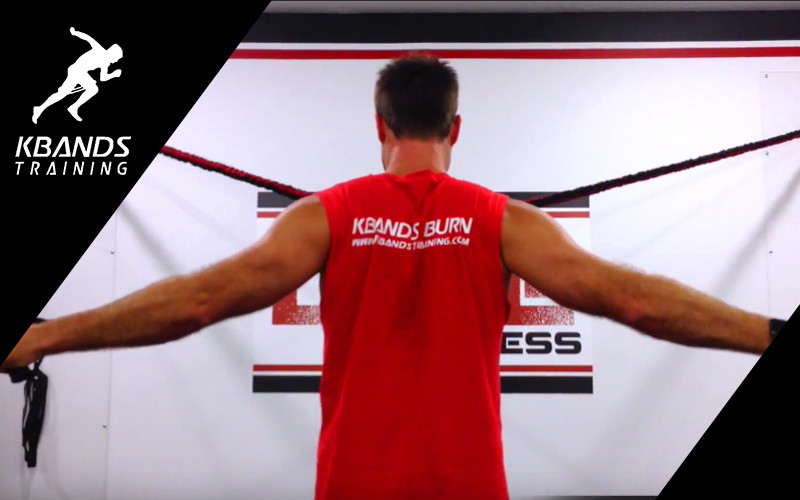 Can You Workout Your Arms Everyday To Build Muscle Faster