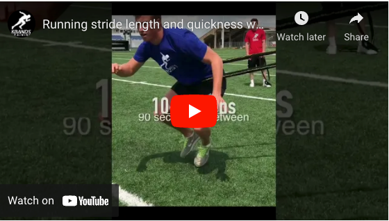 Stride length and quickness training exercise