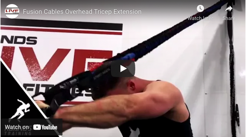 Exercises At Home for Beginners