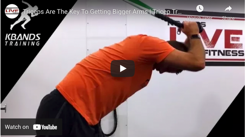 Get big arms  Tricep workout routine, Big arm workout, Bicep and