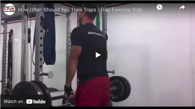 How Often Should You Train Your Traps – Trap Exercise