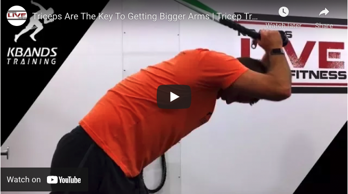 Triceps Are the Key To Getting Bigger Arms – Tricep Workout