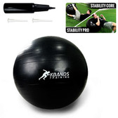 Stability Ball Includes: 65cm Ball, Hand Pump, and 2 Pins