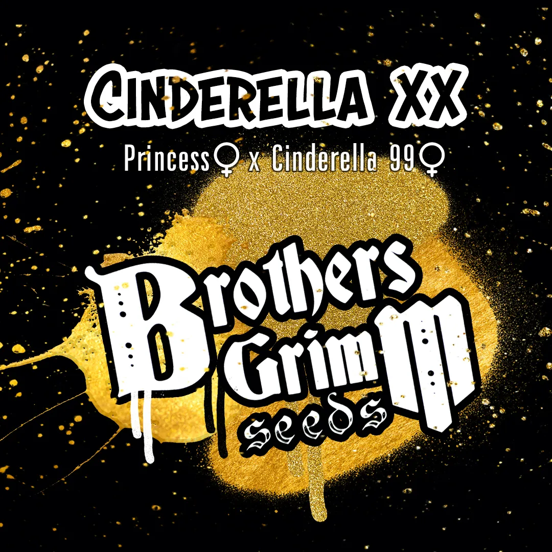 Brothers Grimm - Cinderella XX (Fem)