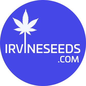 White Widow (Regular)