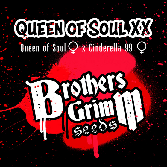 Brothers Grimm - Queen of Soul XX (Fem)