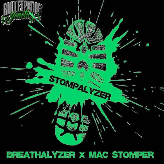 Bulletproof Genetics - Stompalyzer (Regular)