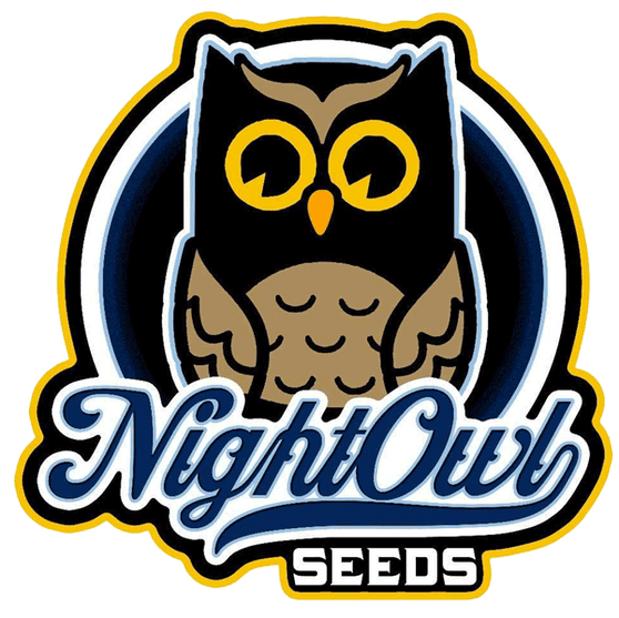 Night Owl Seeds - Vacation Bubba (Auto)