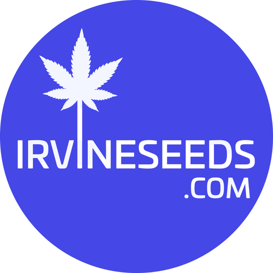 Blue Widow x White Russian (Regular)