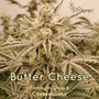 A.B.Seed Company - Butter Cheese (Regular)