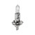 55W/12V H1 Halogen Bulb (#34-02120B0-000) 55W/12V H1 Halogen Bulb (#34-02120B0-000)