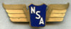 BEING RESEARCHED 1930s-50s NSA Airline? Hat Badge? Wing? NOT FOR SALE UNTIL IDed