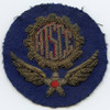 Late WWII French-Made USAAF Air Technical Service Command in Europe (ATSCE) Shoulder Patch