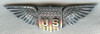 Scarce "Stubby Wing" Style US Air Service (USAS) Pilot Wing<p> NO LONGER AVAILABLE