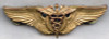 Ca 1943 USAAF Type 1 Flight Surgeon Wing by A.E. Co.