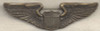 Ca. 1919-1920 US Air Service Pilot Wing by W. Link Co.