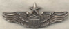 WWII USAAF Senior Pilot Wing by Meyer