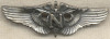 Rare WWII circa 1944 Applied Silver "N" USAAF Flight Nurse Wing