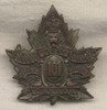 101st Overseas Battalion Canadian Expeditionary Force (CEF) Badge for Winnipeg Light Infantr