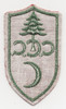 1930Õs Civilian Conservation Corps Steward Rate Patch, Right Facing, Green on Red.