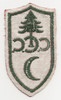 1930Õs Civilian Conservation Corps Steward Rate Patch, Left Facing, Green on Red.
